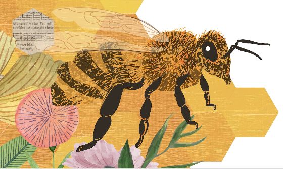 Bees! Hampshire's Hive of History & Nature