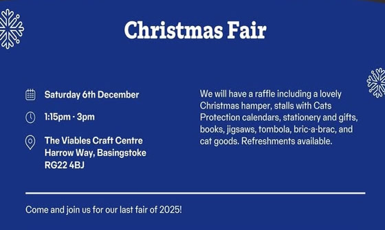 christmas-fair
