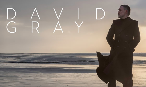 david-gray
