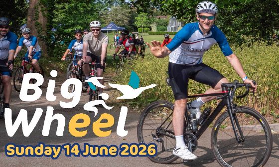 Big Wheel 2026 at The War Memorial Park in Basingstoke