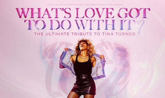 tina-turner
