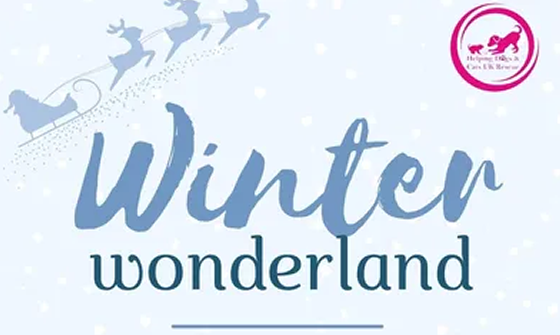 winter-wonderland